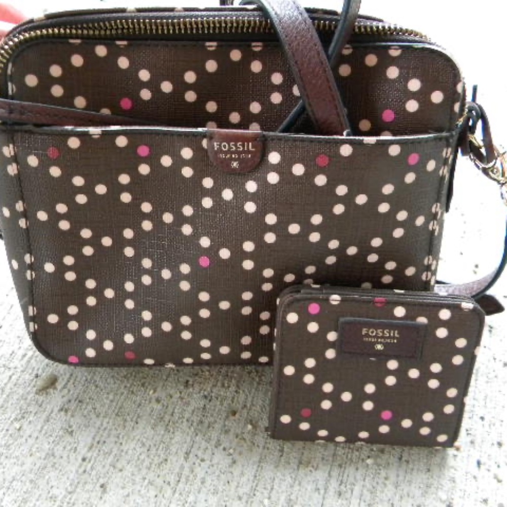 Fossil Crossbody purse and wallet